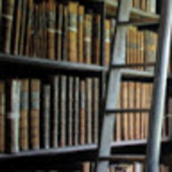 Meet your Posher, Sophie - Picture 1 of 1